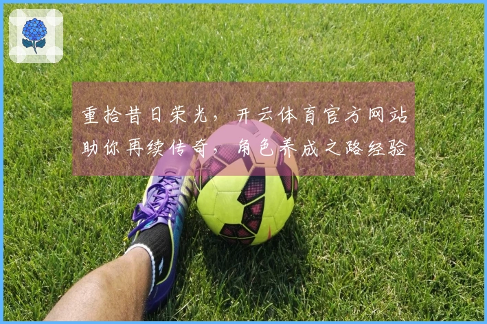 重拾昔日荣光，开云体育官方网站助你再续传奇，角色养成之路经验分享